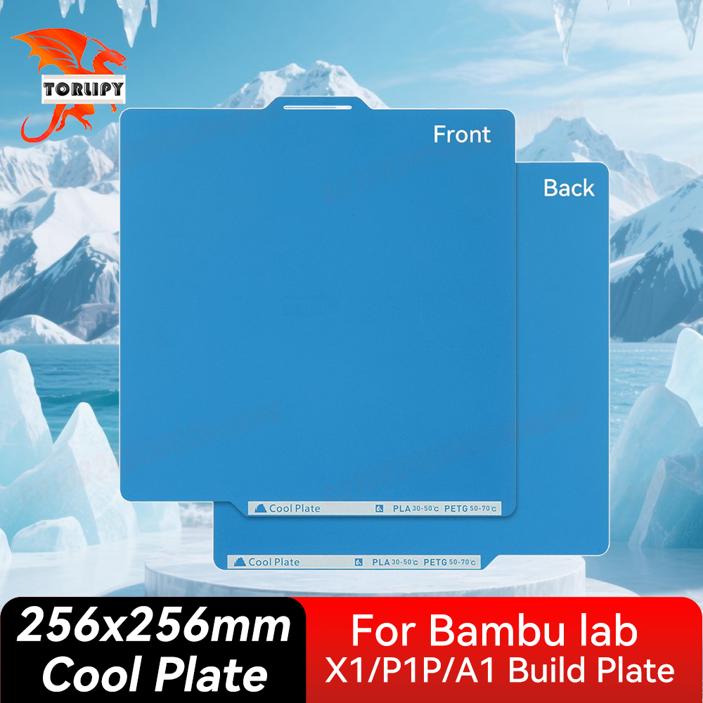 Placa Fria para Bambu Lab X1/P - 3D Printer Bed Spring avaliação e preço