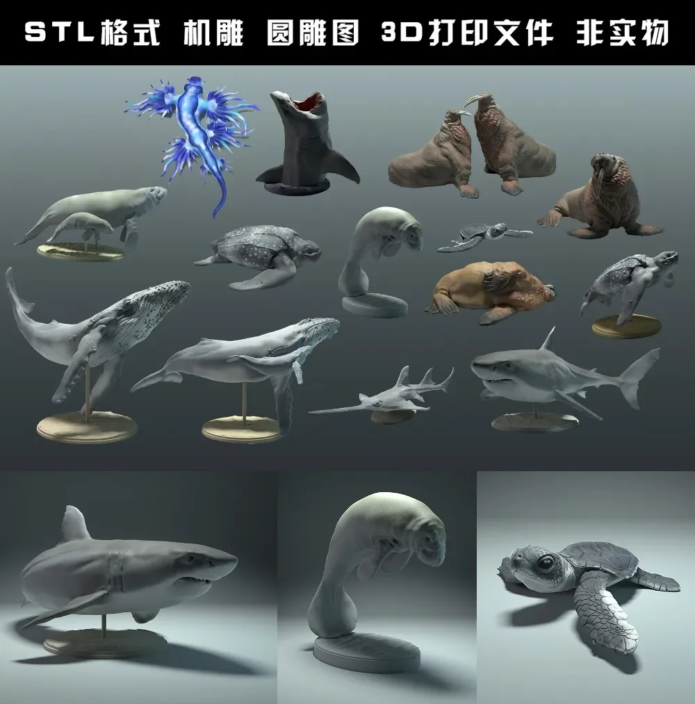 Círculo carving stl arquivo pa - 3D Printing Rabbit avaliação e preço